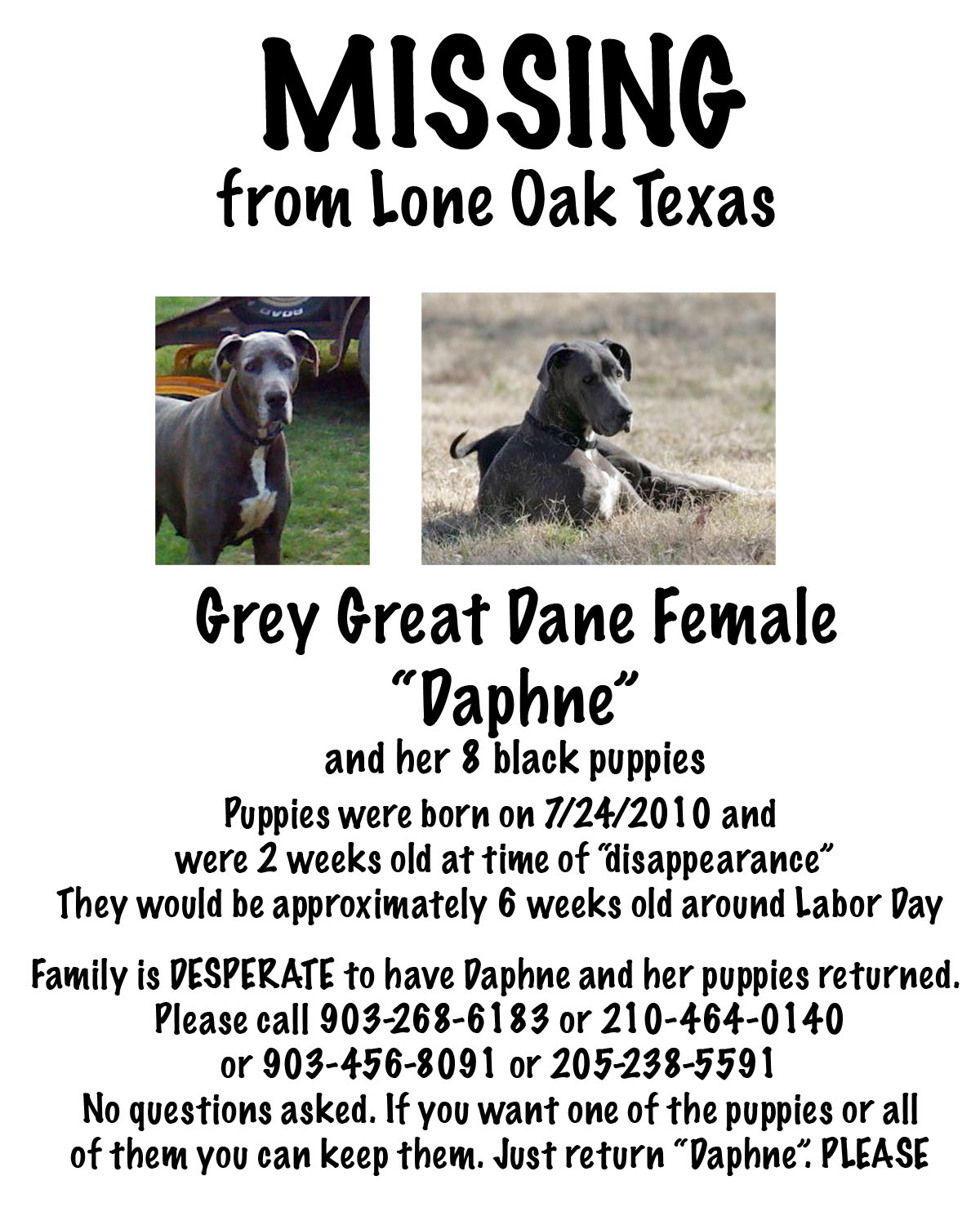 Help Poster